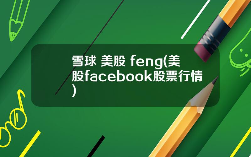 雪球 美股 feng(美股facebook股票行情)